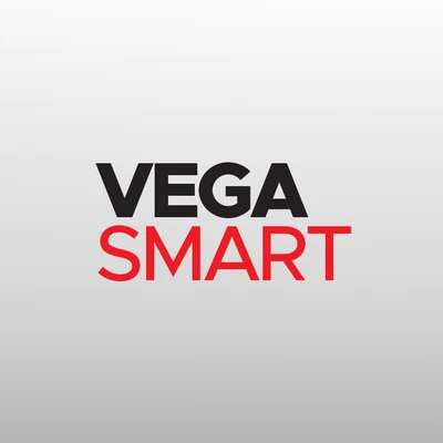 Vega Smart Muhasebe